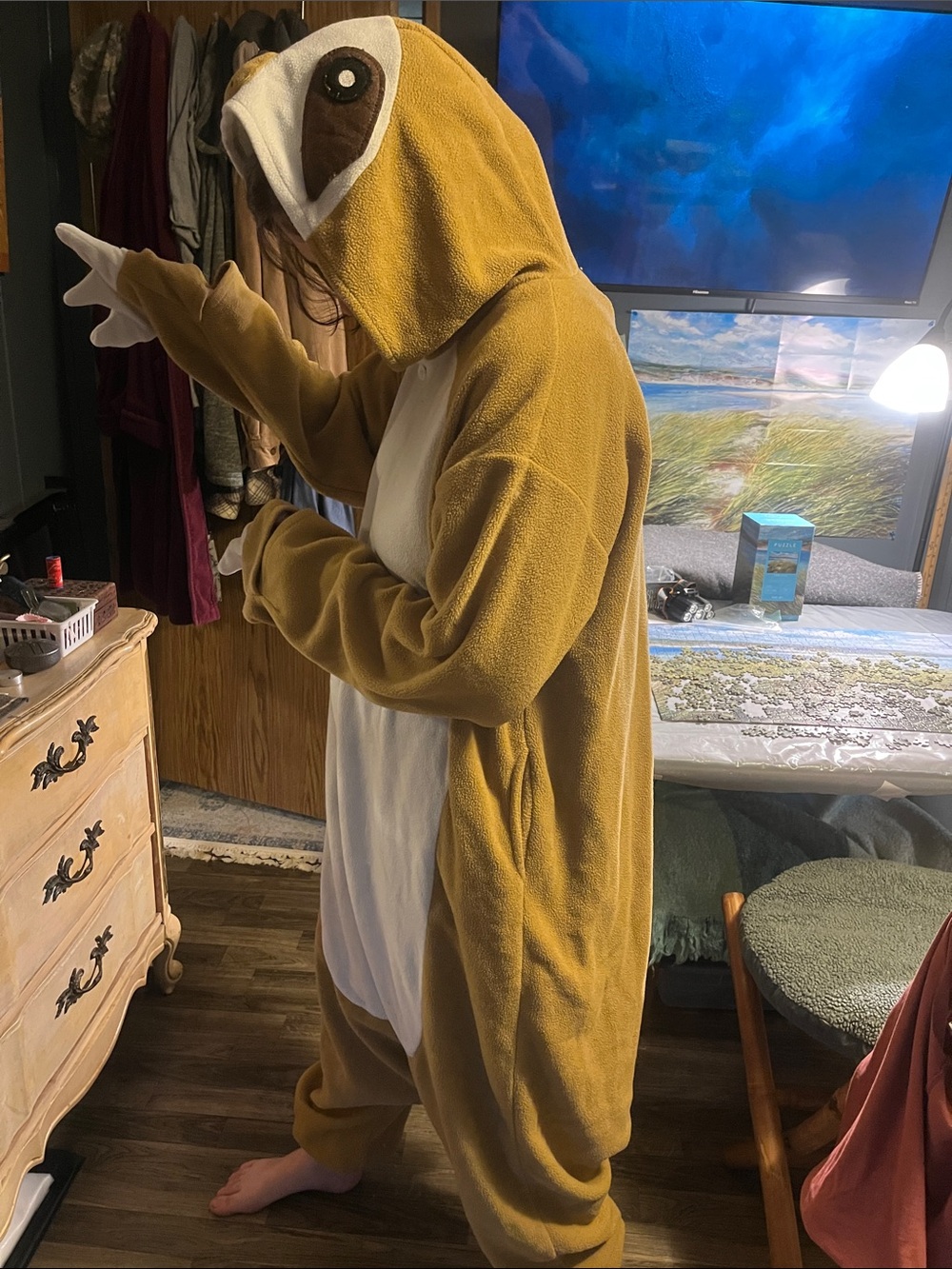 Sloth Onesie